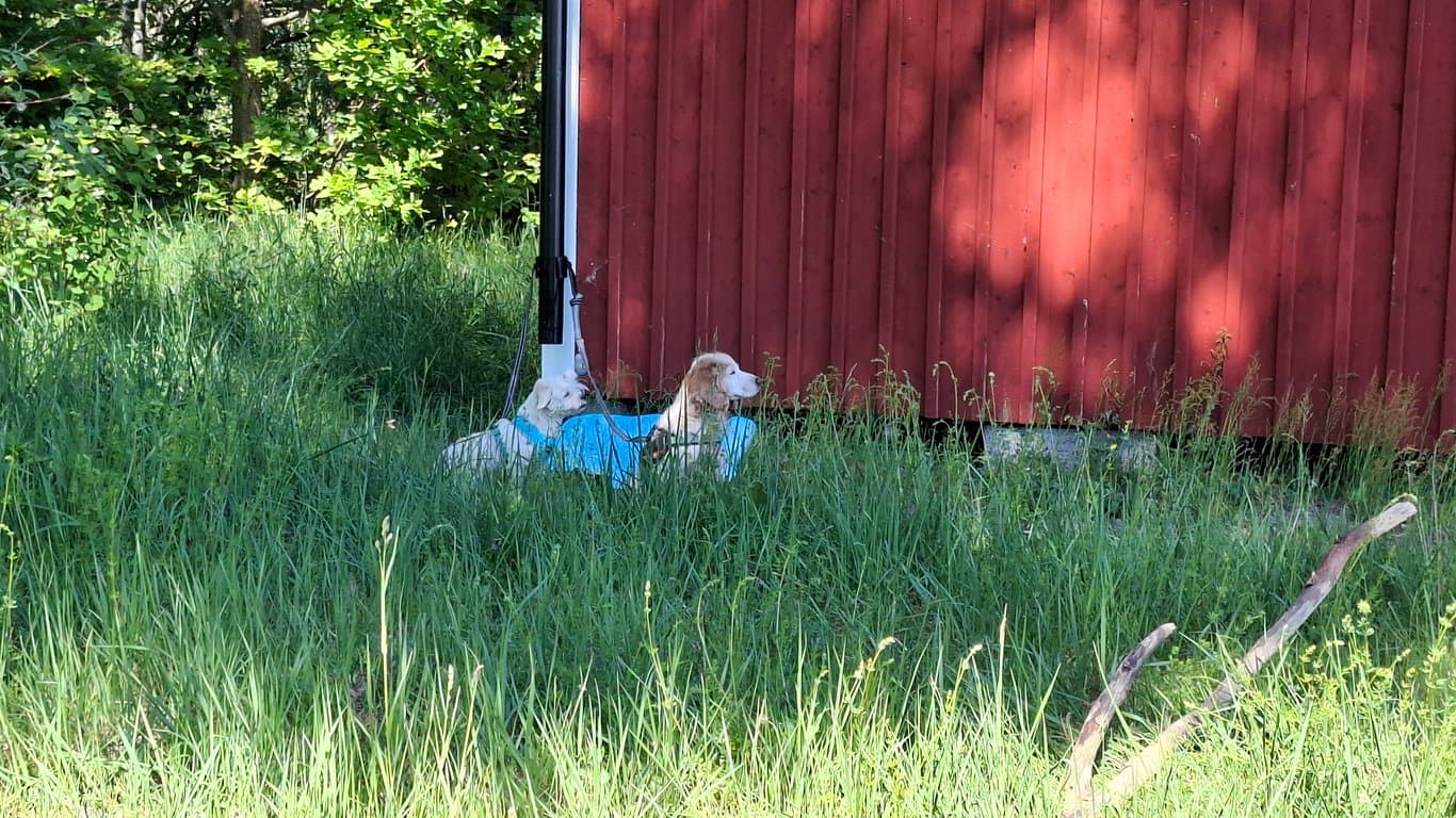 20260529_135804.jpg